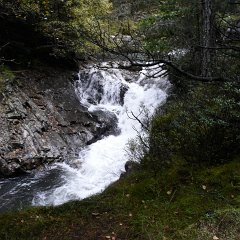 P1030104 (Copier)